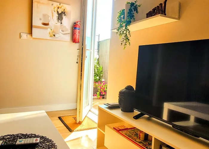 El Rincon Zen * Βίγκο