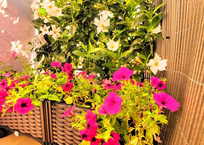 아파트 El Rincon Zen